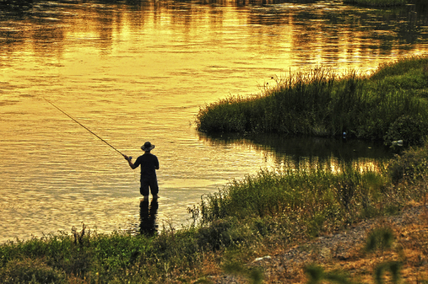 3 Great Spots to go Fishing in The Woodlands